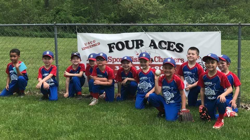 A group of young boys in baseball uniforms.